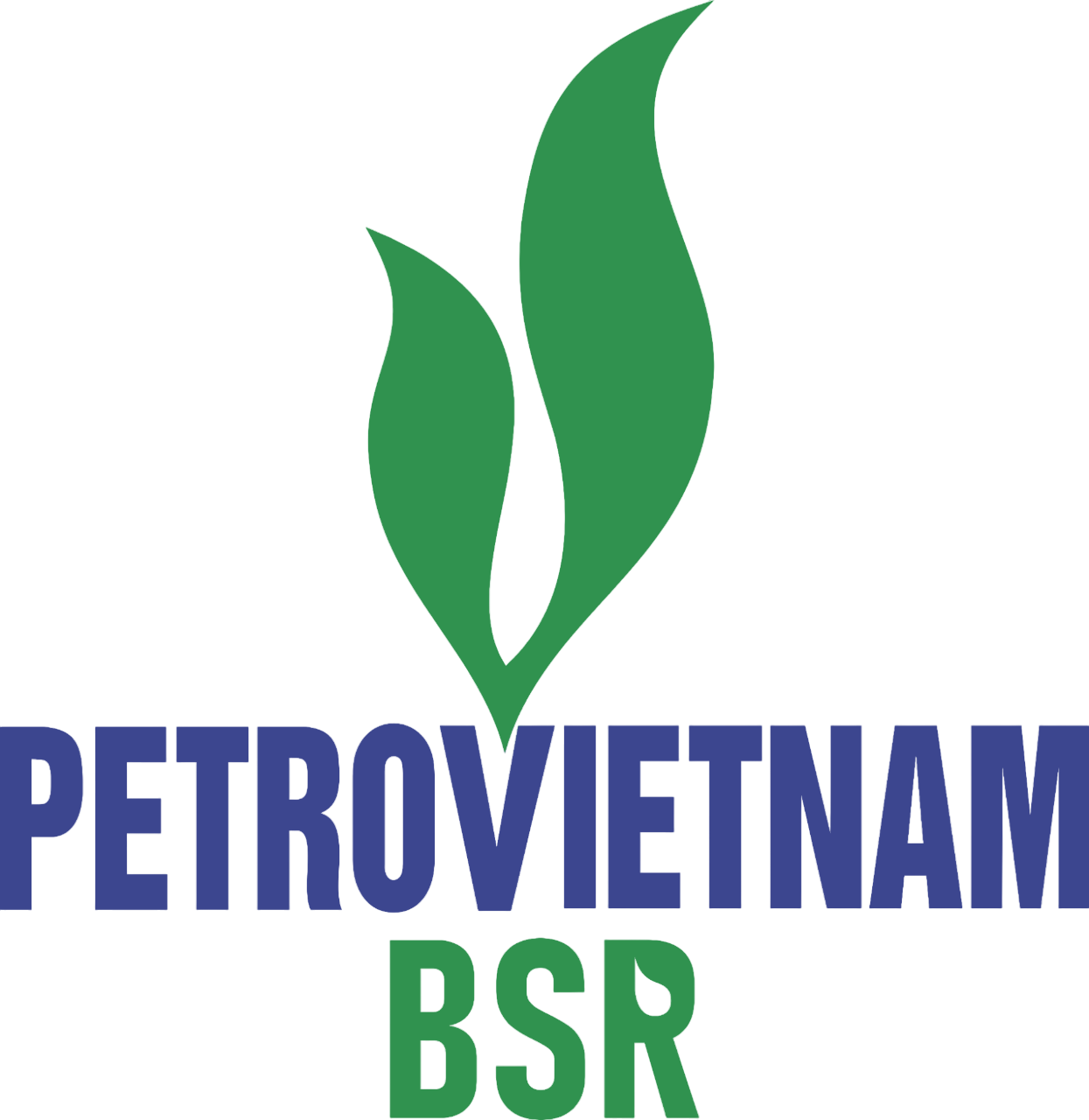 logo BSR